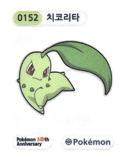 치코리타 띠부씰