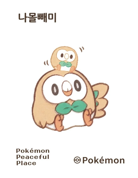 나몰빼미